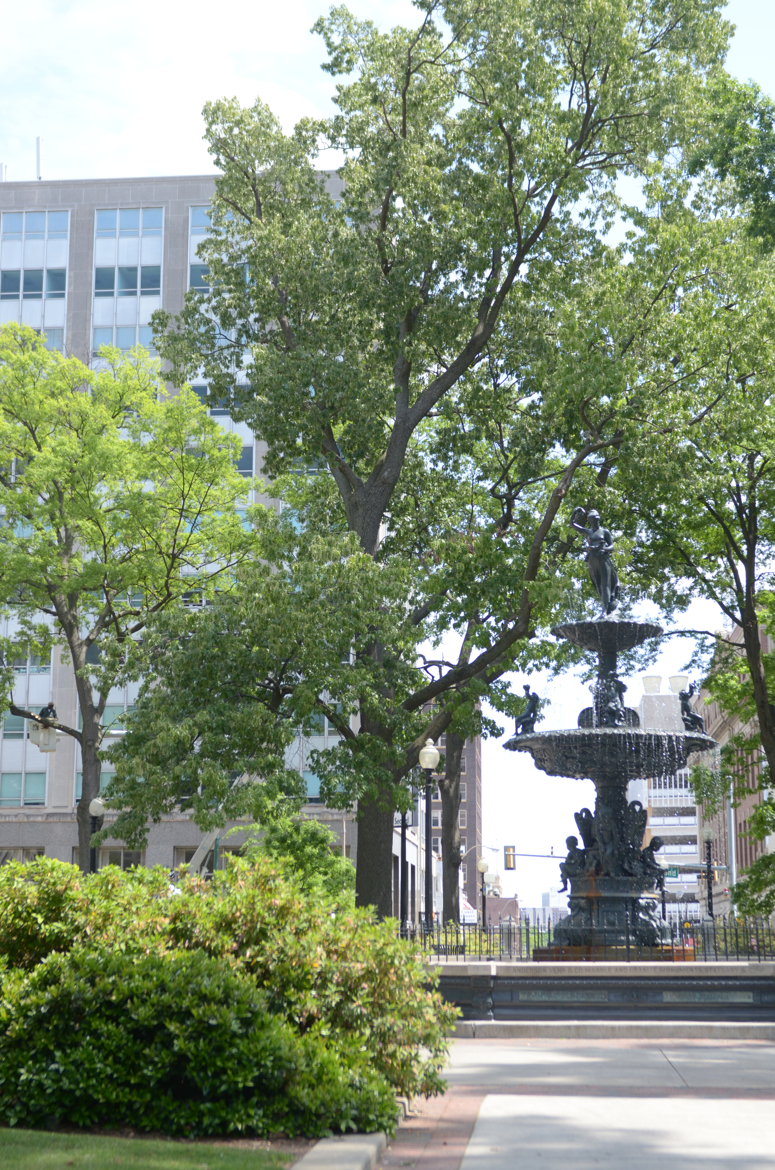 Court Square fountain and leafy surroundings near The Grosvenor Building